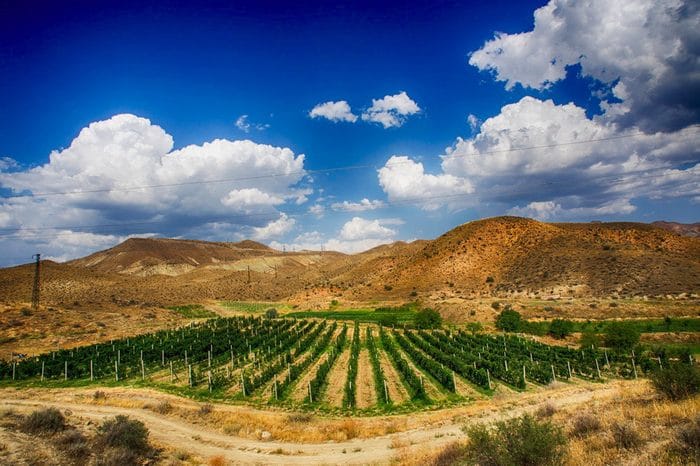 Old Bridge Winery