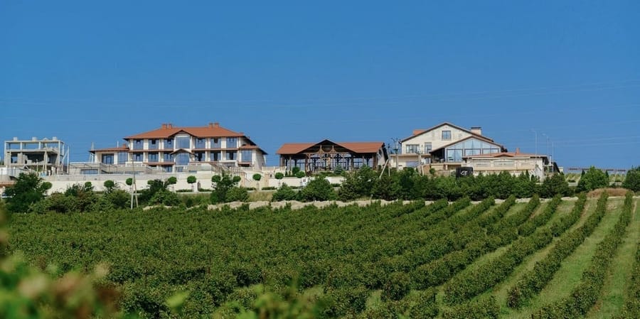 Château Pinot